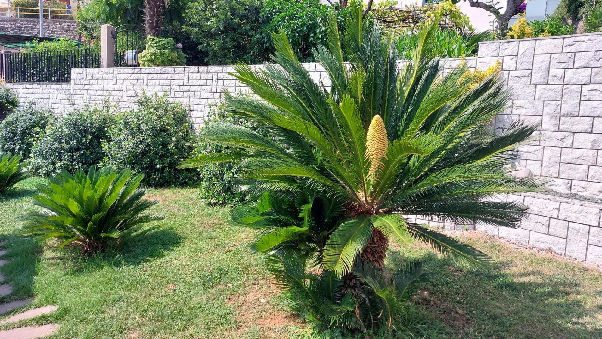 Opatija Centar Apartment Екстериор снимка